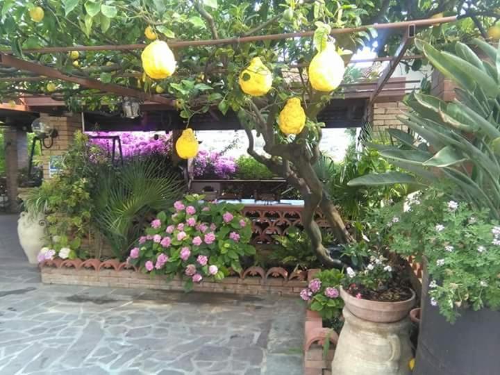 קאפאצ'יו-פאסטום B&B La Porta Del Cilento מראה חיצוני תמונה